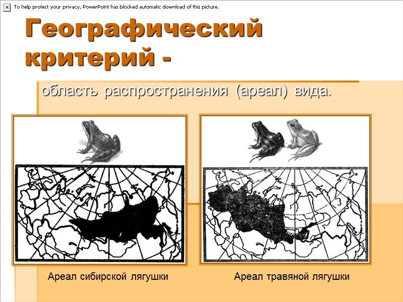 Географический критерий -     область распространения (ареал) вида. Ареал сибирской лягушки